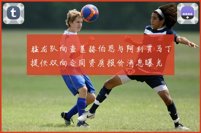 猛龙队向查基赫伯恩与阿利贾马丁提供双向合同资质报价消息曝光