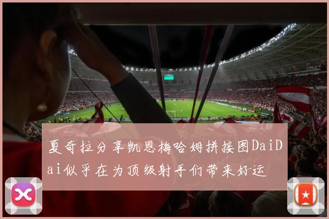 夏奇拉分享凯恩梅哈姆拼接图DaiDai似乎在为顶级射手们带来好运