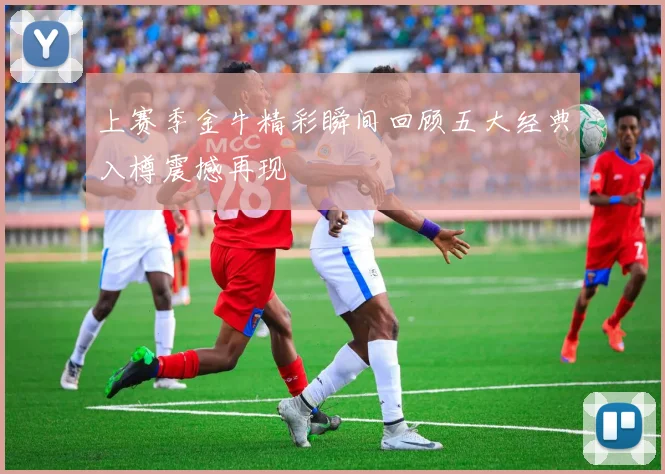 上赛季金牛精彩瞬间回顾五大经典入樽震撼再现